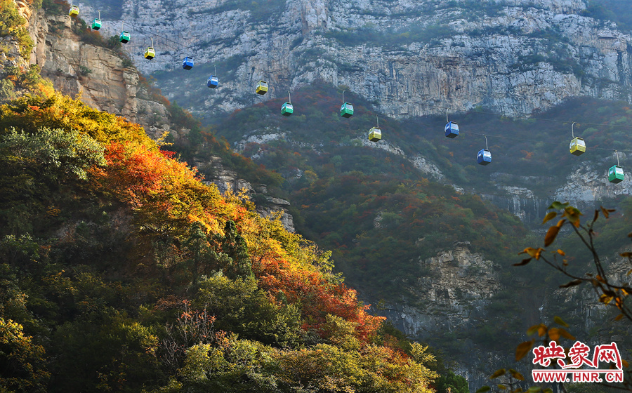 索道下的山坡，陽光灑在色彩繽紛的樹葉上