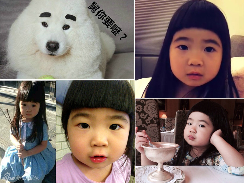 不小心就撞臉了！盤點動物界的明星相