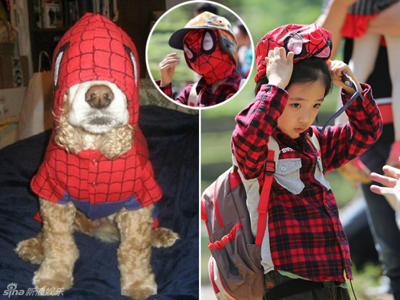 不小心就撞臉了！盤點動物界的明星相