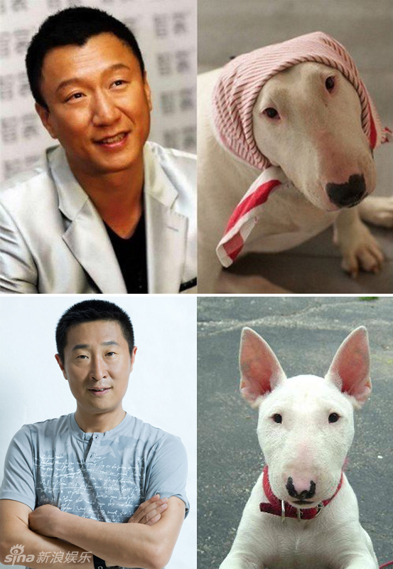 不小心就撞臉了！盤點動物界的明星相