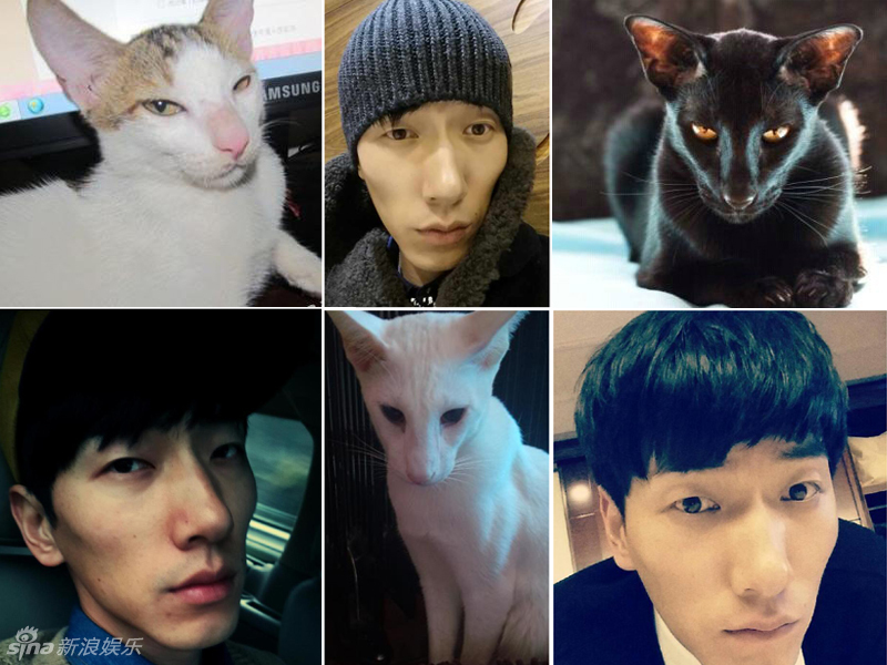 不小心就撞臉了！盤點動物界的明星相