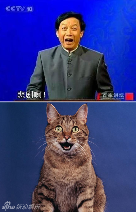 不小心就撞臉了！盤點動物界的明星相