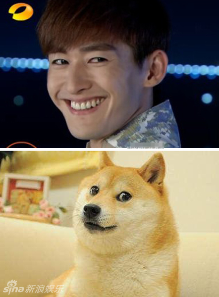 不小心就撞臉了！盤點動物界的明星相