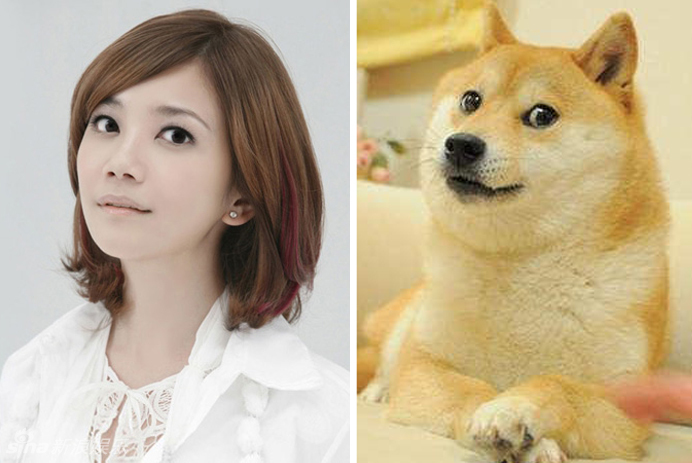 不小心就撞臉了！盤點動物界的明星相