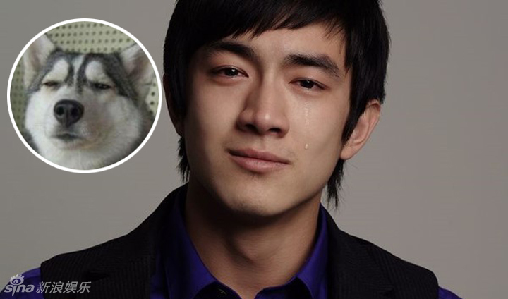 不小心就撞臉了！盤點動物界的明星相