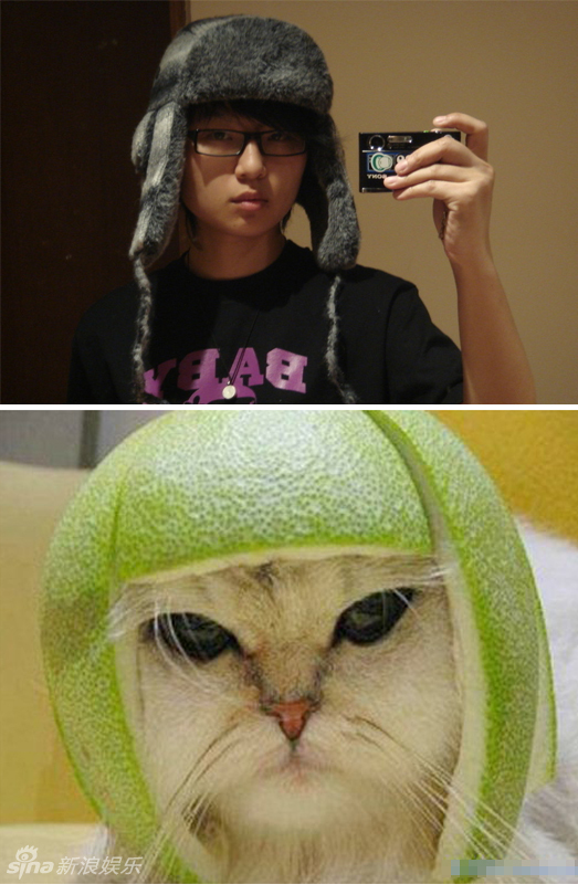 不小心就撞臉了！盤點動物界的明星相