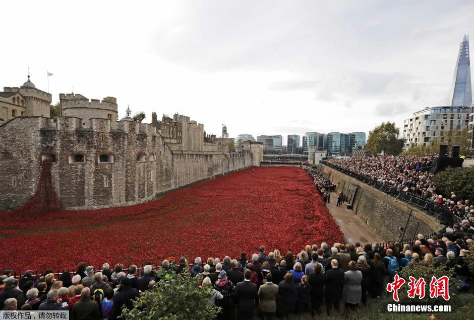 當?shù)貢r間2014年11月10日，英國倫敦，倫敦塔周邊“種植”了888246朵陶瓷材質(zhì)的罌粟花，以此紀