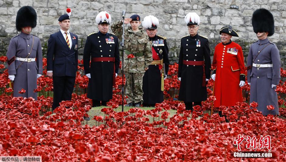 當?shù)貢r間2014年11月10日，英國倫敦，倫敦塔周邊“種植”了888246朵陶瓷材質(zhì)的罌粟花，以此紀