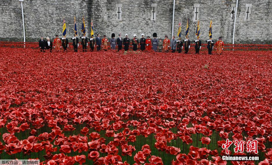 當?shù)貢r間2014年11月10日，英國倫敦，倫敦塔周邊“種植”了888246朵陶瓷材質(zhì)的罌粟花，以此紀