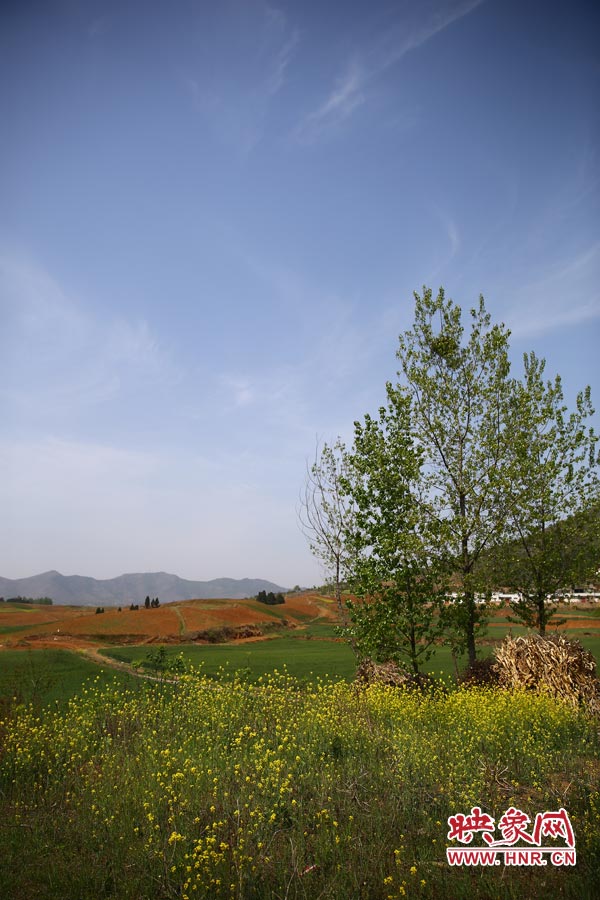 庫區(qū)的藍天、白云、綠樹、黃花給人清新的享受