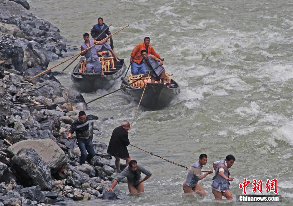 纖夫在神農(nóng)溪畔牽引木船溯溪而上。