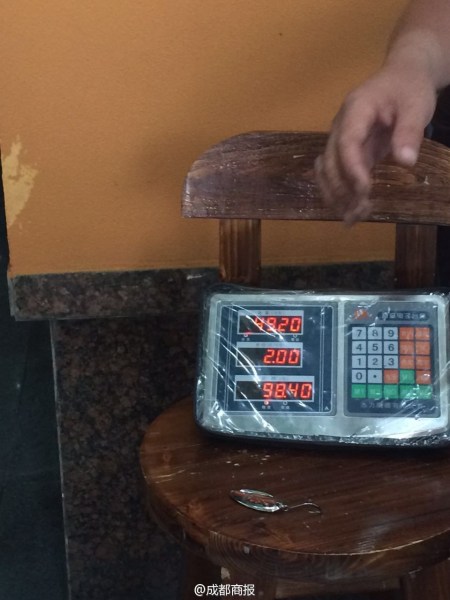 父子倆為大魚量體重。