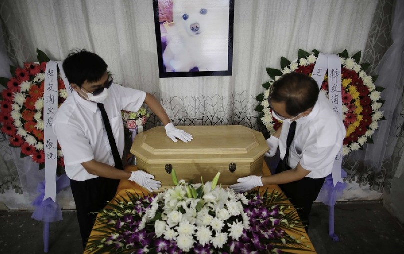 工作人員將寵物狗的靈柩放在靈堂上。