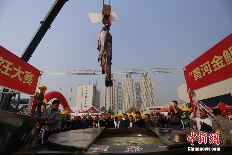 起重機(jī)吊起161.2斤魚王下鍋。 圖片來源：CFP視覺中國