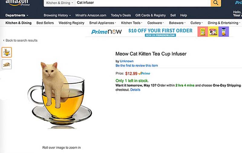 喵星人奇葩坐姿遭惡搞 網友腦洞大開