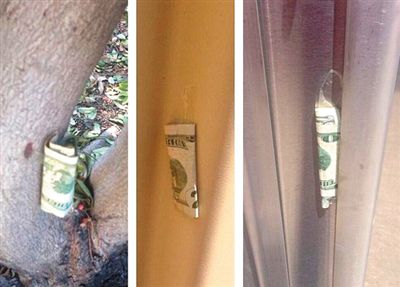 “隱藏的鈔票”會被神秘人藏在公園、廁所等“奇怪的地方”。