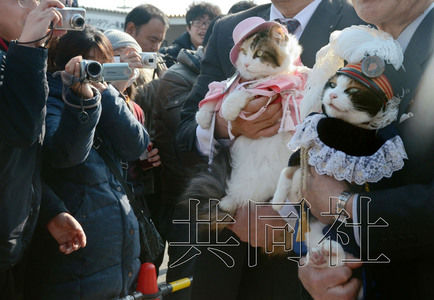 圖為粉絲們簇?fù)碇鞍⒂瘛闭鹃L（右）。左側(cè)為其部下“二玉”。