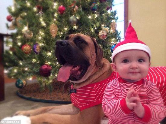 圖為美國2歲大的寵物犬與主人9個月大的女嬰。圖片來源：臉譜網(wǎng)站（Facebook）。