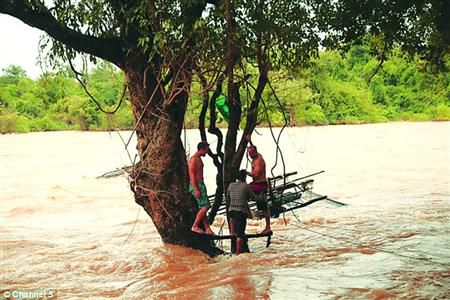 蓋屋、種菜，“從沒這樣快樂”