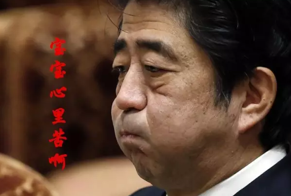這種看安倍“熱鬧”的事兒，環(huán)環(huán)絕不私藏，一定雨露均沾!