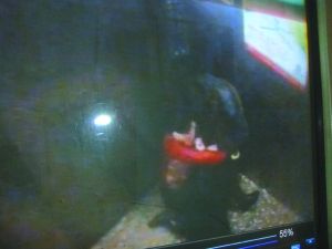 侯某被摁倒割喉。