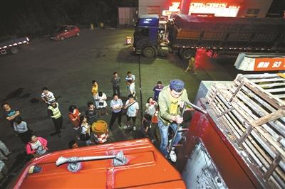 浙江動(dòng)保人士高速攔車救貓 假稱出車禍叫來民警 浙江動(dòng)保人士高速攔車救貓 假稱出車禍叫來民警