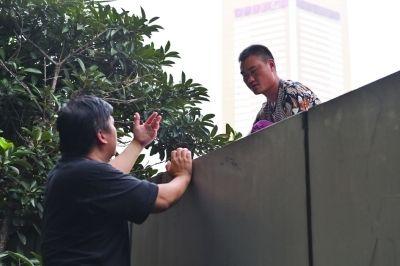 黃主任站在獨(dú)木樁上與男子交談了近半小時(shí)。