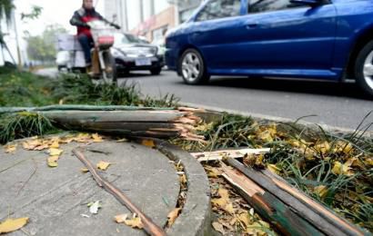 事發(fā)現(xiàn)場，嫌疑車輛撞壞的木樁。