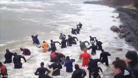 一場暴雨后，俄羅斯加里寧格勒Pionersky鎮(zhèn)，數(shù)十人潛入海水中搜尋琥珀。