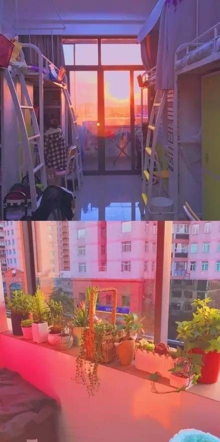 這個(gè)學(xué)校的男生宿舍火了！女同學(xué)都喊著要嫁