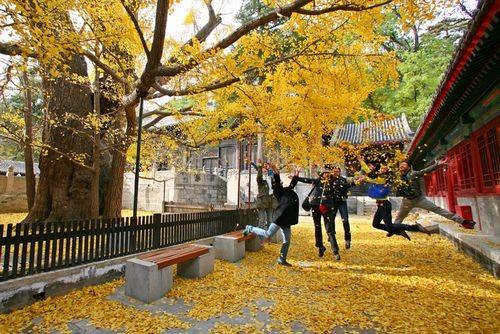 遠離低頭族 教你適當(dāng)使用手機