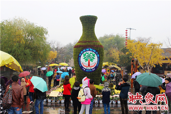 天好、花美 中國開封第32屆菊花文化節(jié)延長一周