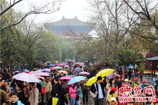 天好、花美 中國開封第32屆菊花文化節(jié)延長一周
