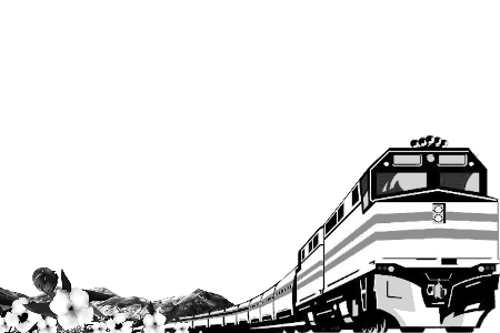 鄭州鐵路局加開(kāi)23趟進(jìn)疆摘棉專(zhuān)列