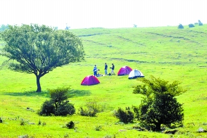 洛陽黛眉山景區(qū)開園迎賓，明年五一前免費開放
