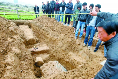 碑帽、赑屃、碑座、碑身依次排開