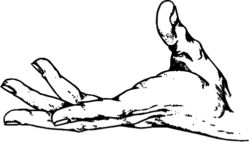 　時(shí)間：拿到通知書，未報(bào)到就可申請(qǐng)