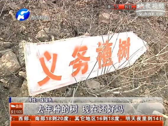 去年種的樹 現(xiàn)在還好嗎？