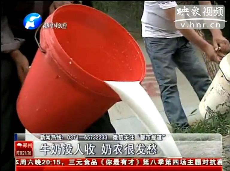 焦作奶農(nóng)為何頻現(xiàn)倒奶？
