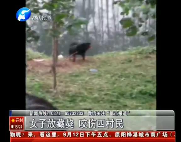 女子放藏獒咬村民 稱(chēng)狗比人重要