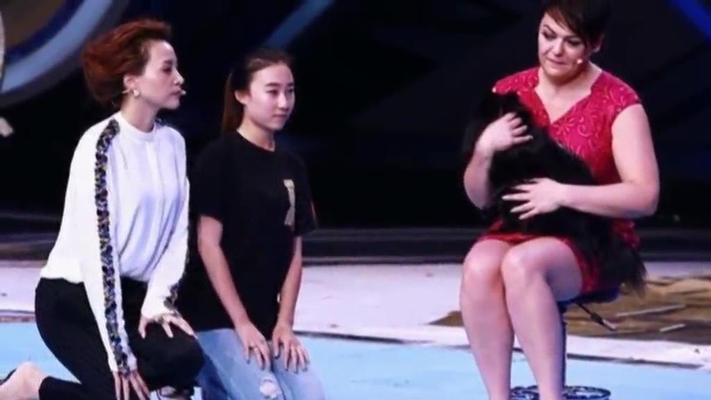 又當托？ 董卿節(jié)目現(xiàn)場當眾對狗下跪稱被催眠