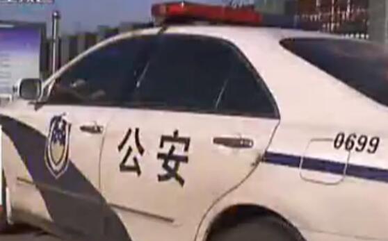 車內(nèi)暗藏紙箱 民警開(kāi)箱后震驚了