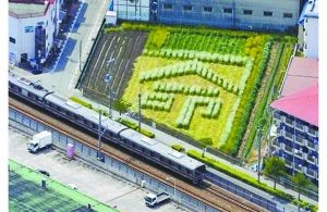 日本2005年列車事故現(xiàn)場(chǎng)附近的一塊農(nóng)田里勾勒出一個(gè)“命”字，以警世人。