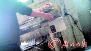 工作人員正在為“土雞蛋”噴日期碼。